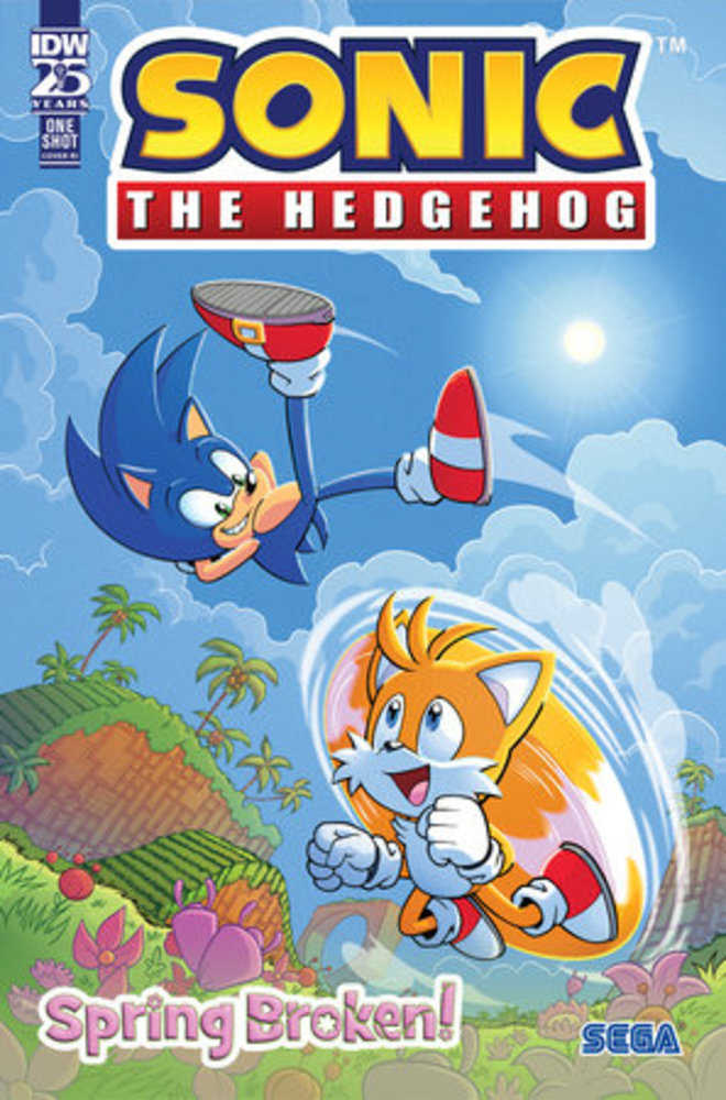 Sonic The Hedgehog Spring Broken