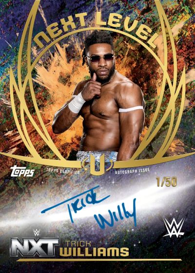 2025 Topps Universe WWE Hobby 2-Box