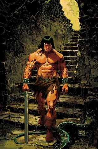 Conan The Barbarian #24 Cover E Dan Panosian Full Art Variant (Mature)