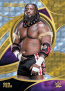 2026 Topps WWE Universe - Hobby - 2-Box Break