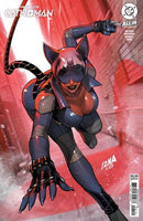 Absolute Catwoman