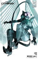 Absolute Catwoman