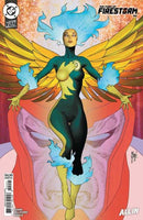 Fury Of Firestorm