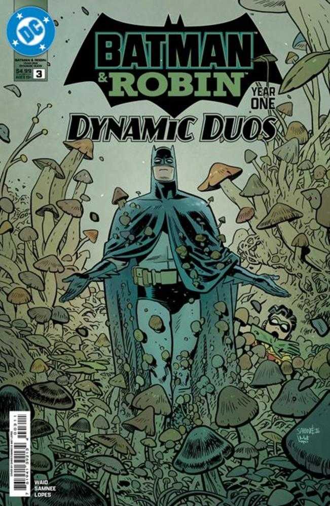 Batman & Robin Year One Dynamic Duos