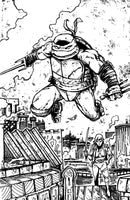 Teenage Mutant Ninja Turtles