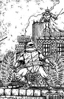 Teenage Mutant Ninja Turtles