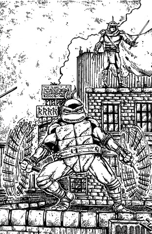Teenage Mutant Ninja Turtles #23 Variant Ri (10) (Eastman & Bishop Black & White Full Art)