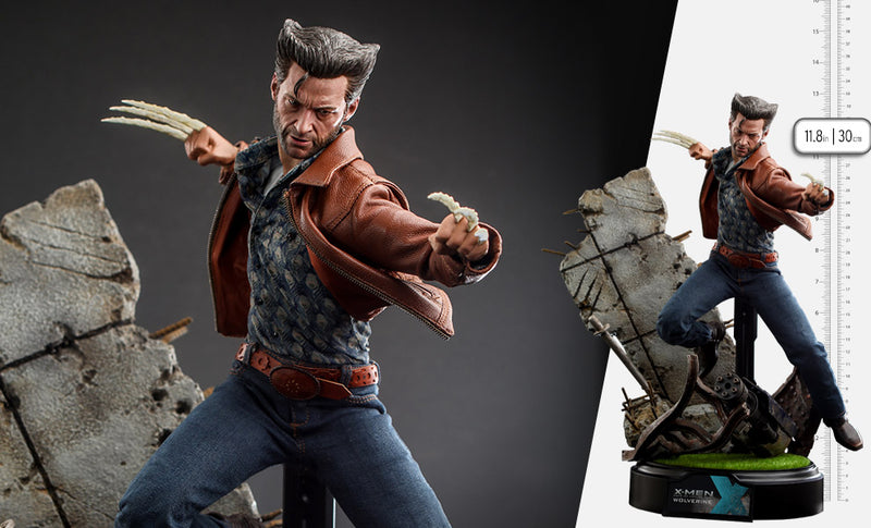 Wolverine (1973 Version) (Deluxe Version) Sixth Scale Figure - Hot Toys