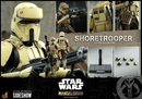 Shoretrooper 1/6th Scale - Hot Toys
