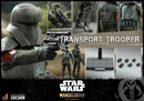 Transport Trooper Sixth Scale Figure - Star Wars - The Mandalorian (Hot Toys)