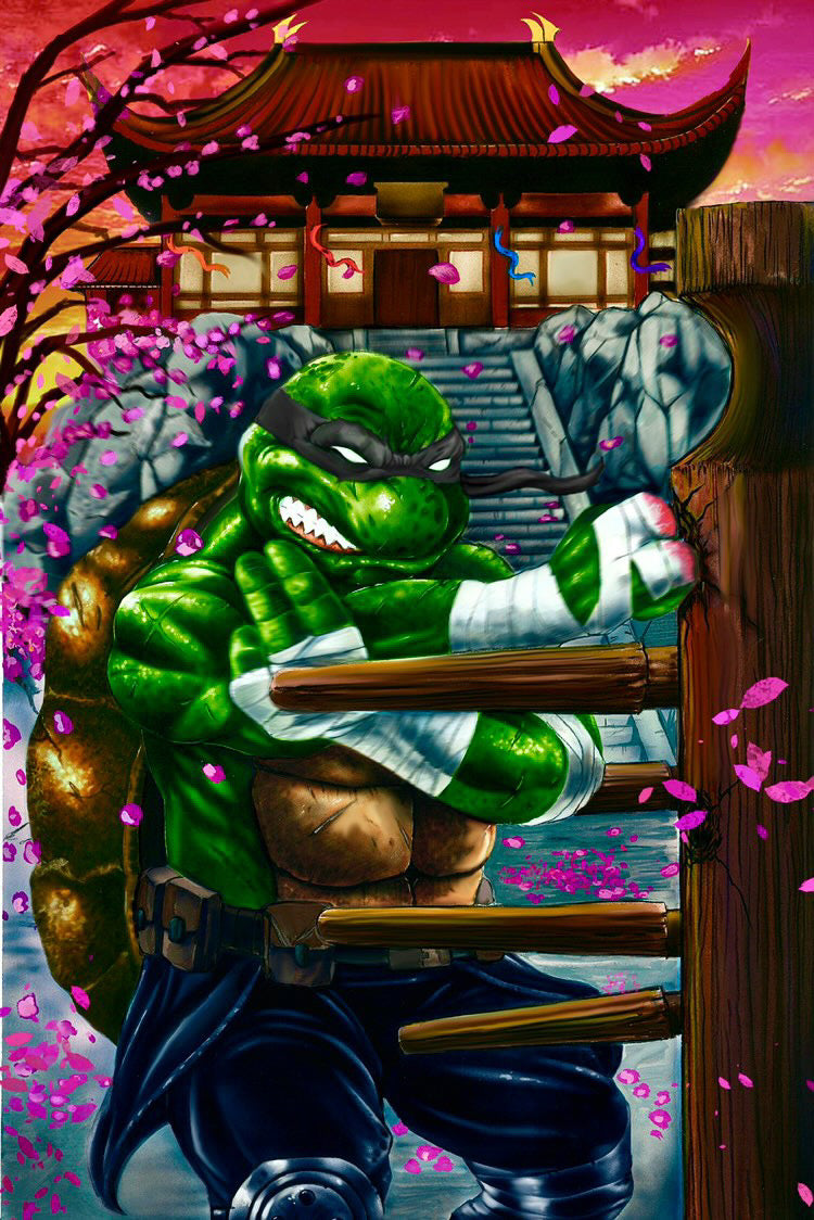 Check Out the 70 Covers for TEENAGE MUTANT NINJA TURTLES THE LAST RONIN   GeekTyrant