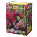 Dragon Shield Sahar Art 100ct